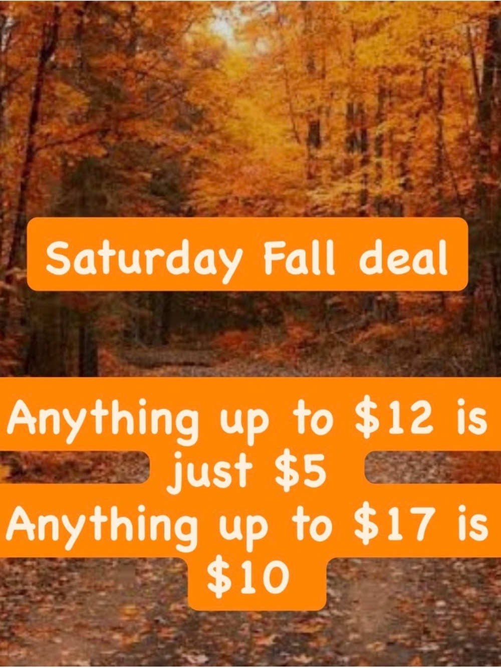 Autumn Forest Wall Art Print - Orange